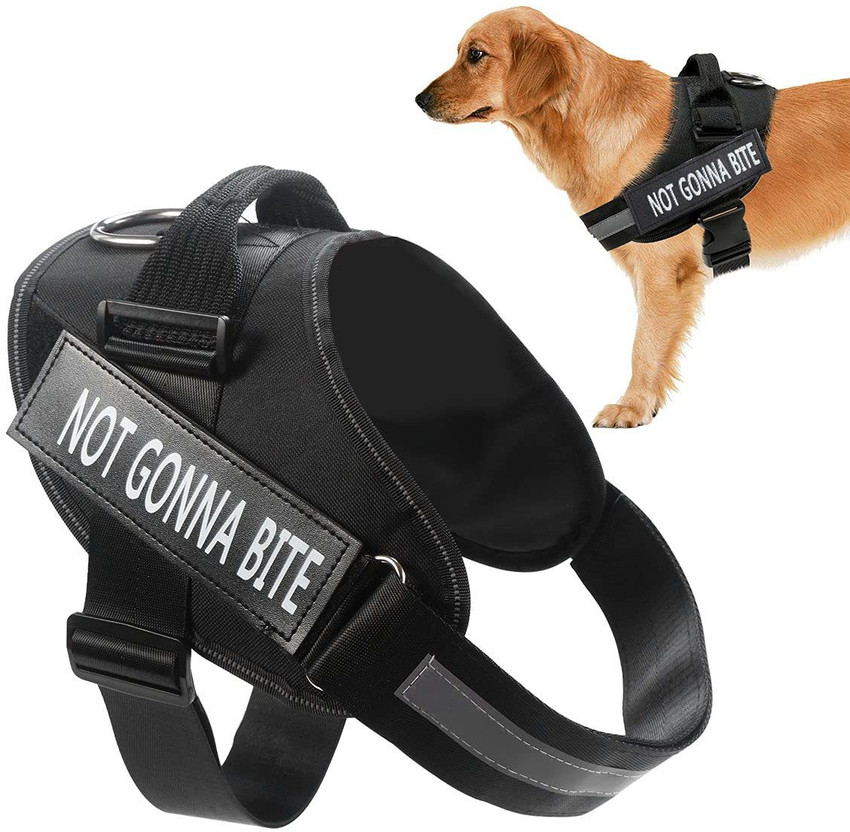 SHAFIRE Dog Harness for Large Dogs Adjustable Body Belt for Dogs