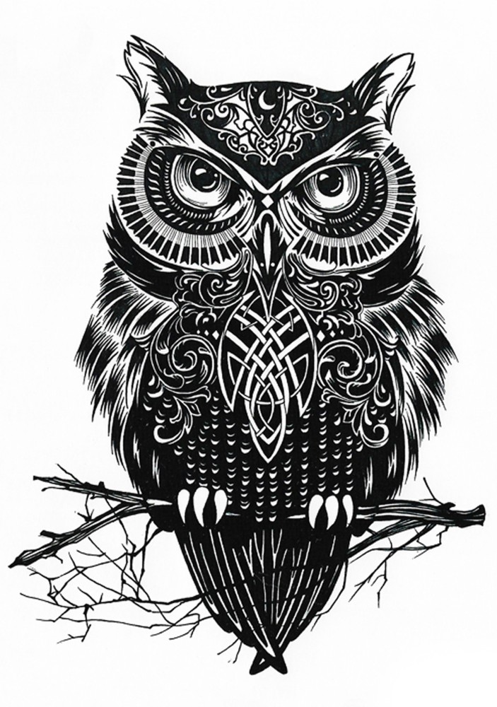 Body Owl Sketch Art Tattoo Drawing Clipart  Owl Drawing Tattoo Transparent  PNG  960x945  Free Download on NicePNG