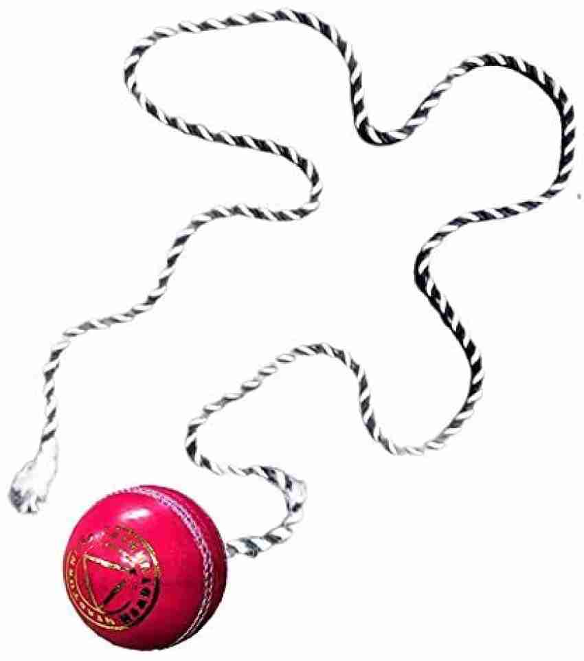 Leather Cricket Shot Practice Hanging Ball, String Cricket Ball