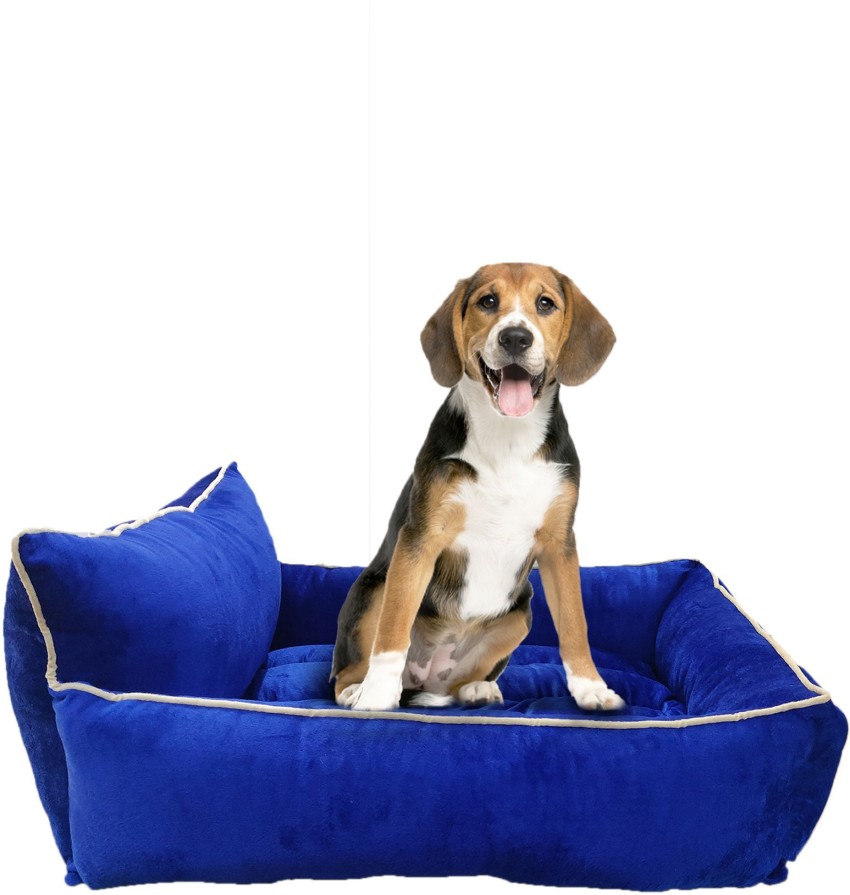 Flipkart dog shop bed