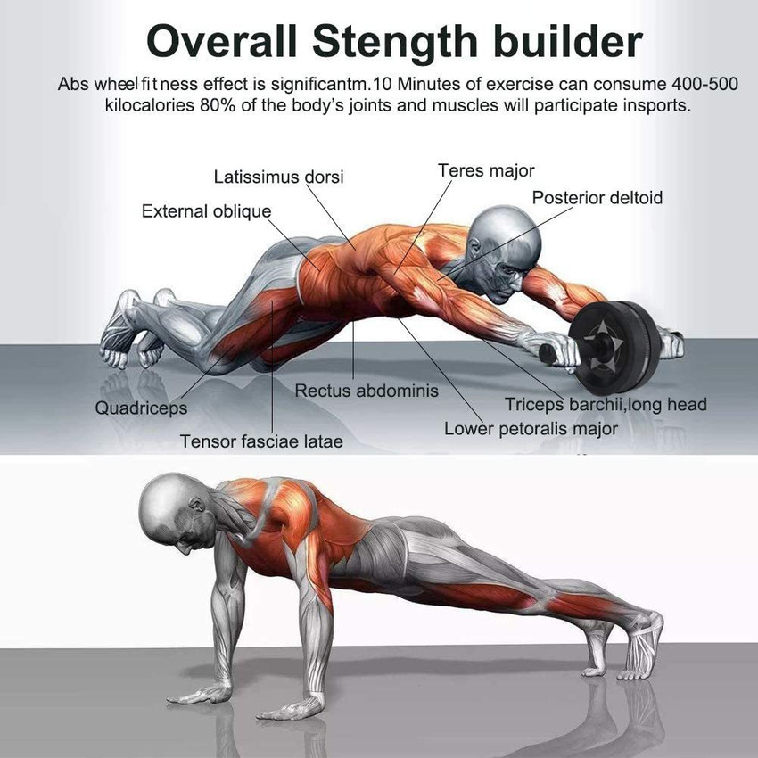 Ab hot sale wheel triceps