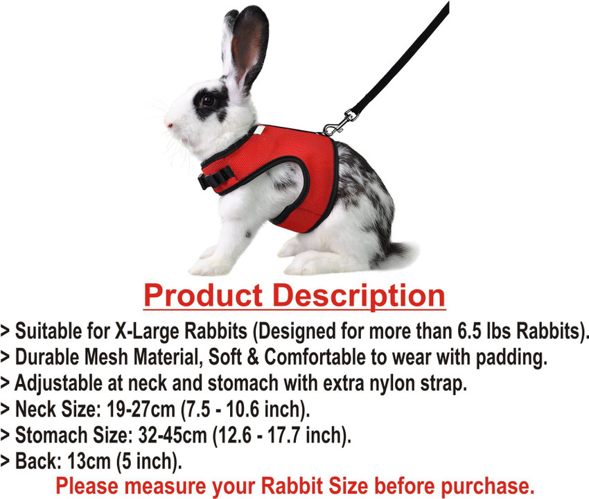 Large sales rabbit harness