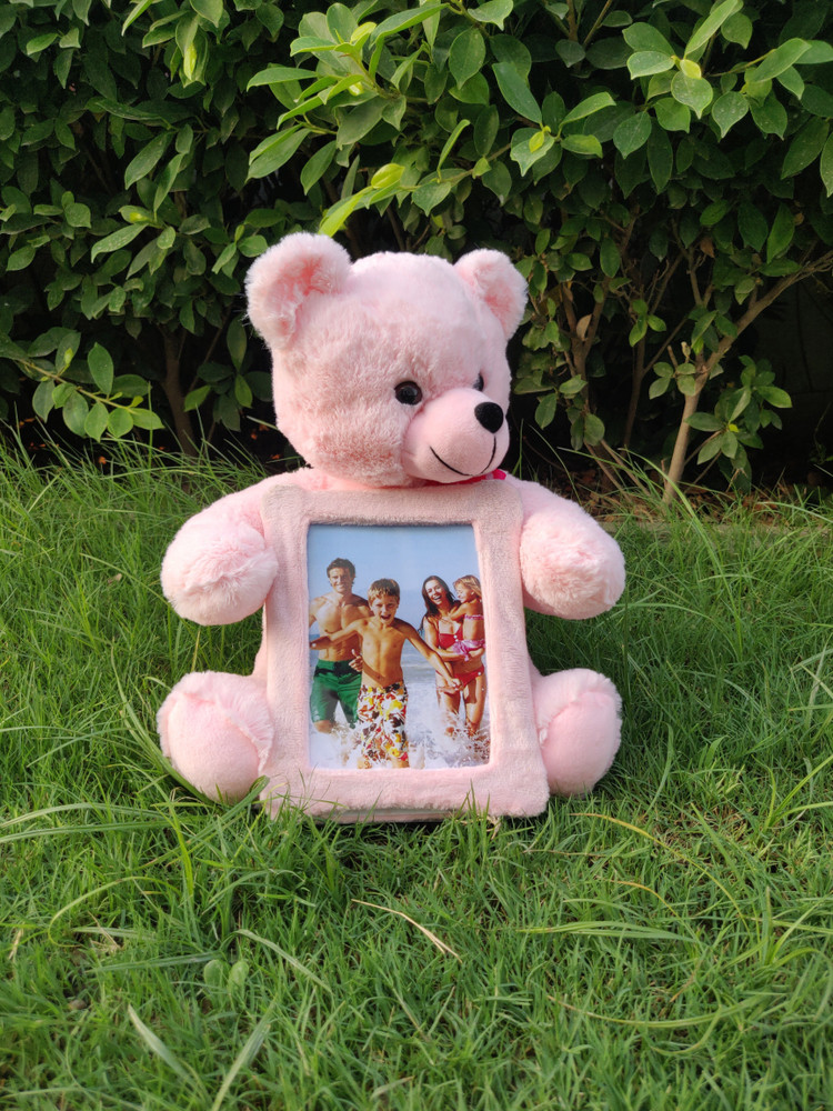 Teddy bear with shop picture frame tummy