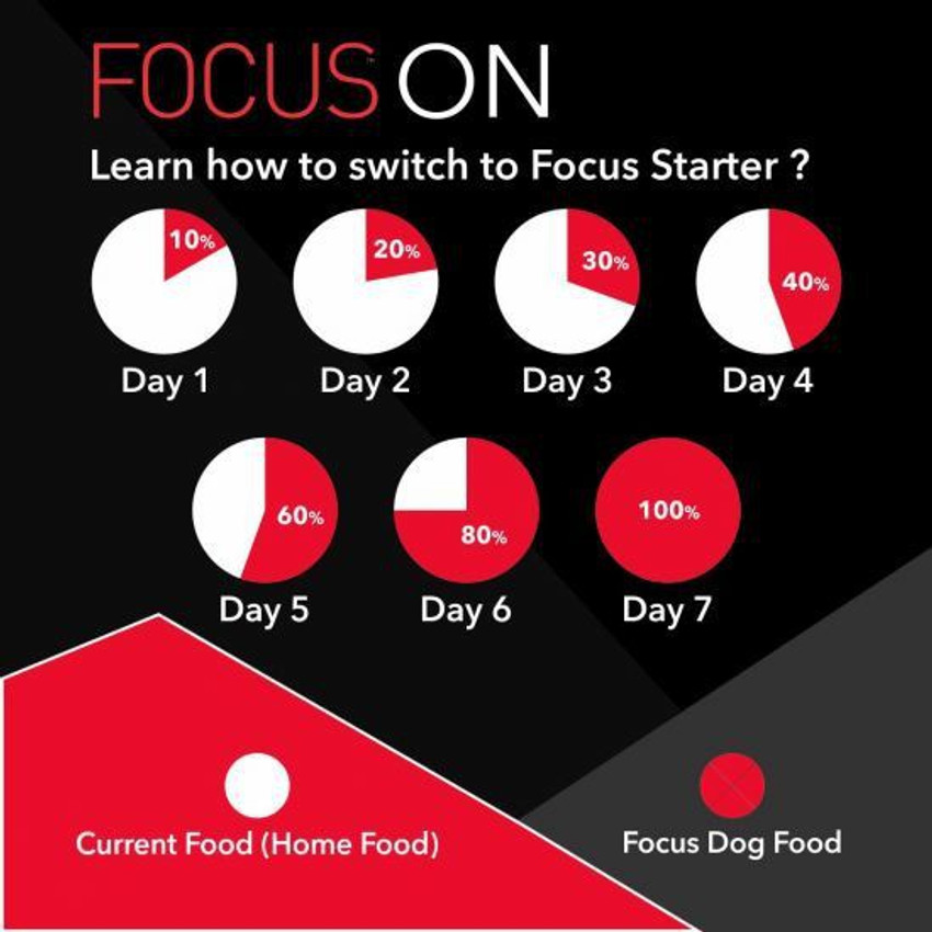 Drools focus starter 15kg cheap