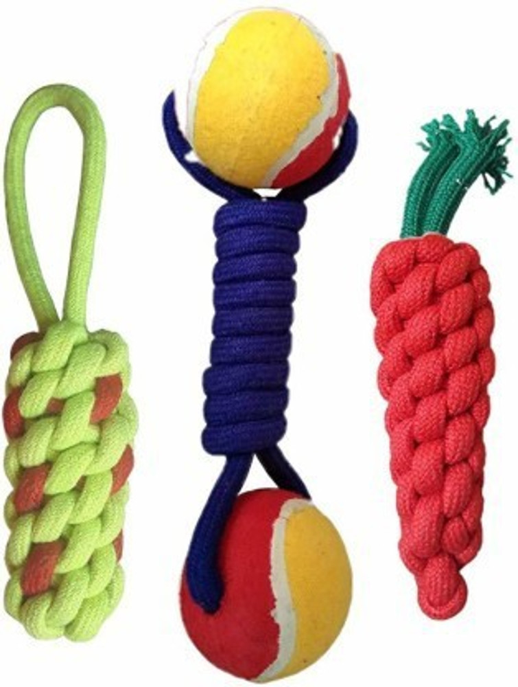 Flipkart pet accessories top