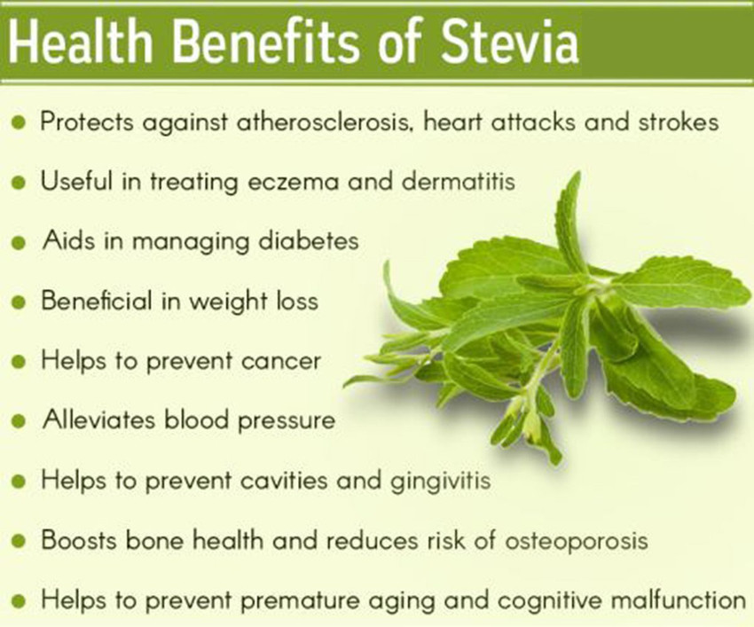Stevia extract powder uses Stevia extract powder uses