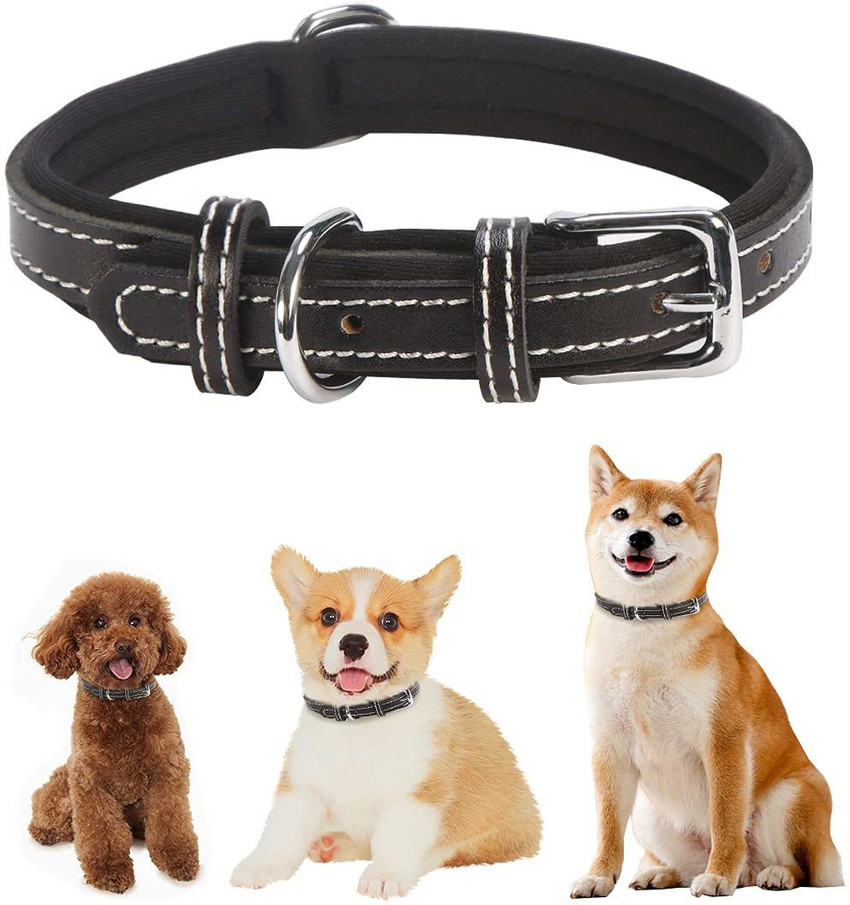 SHAFIRE Adjustable Dog Collar for Small Dogs Leather Dog Neck