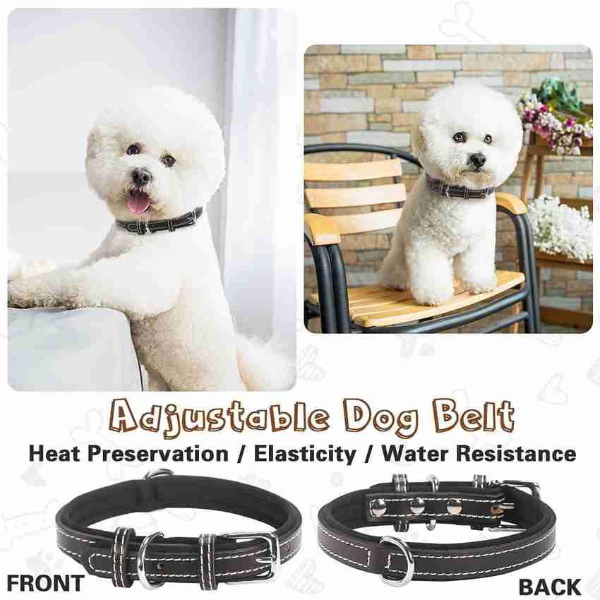 Dog accessories flipkart top