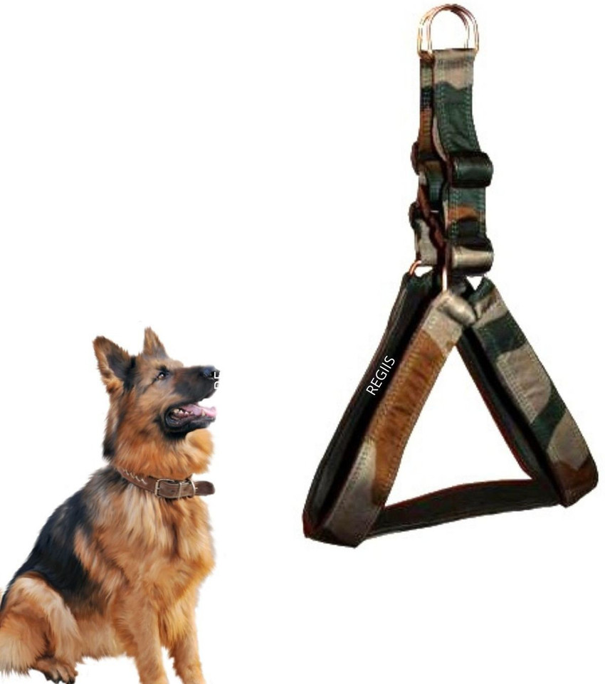 Dog on sale accessories flipkart