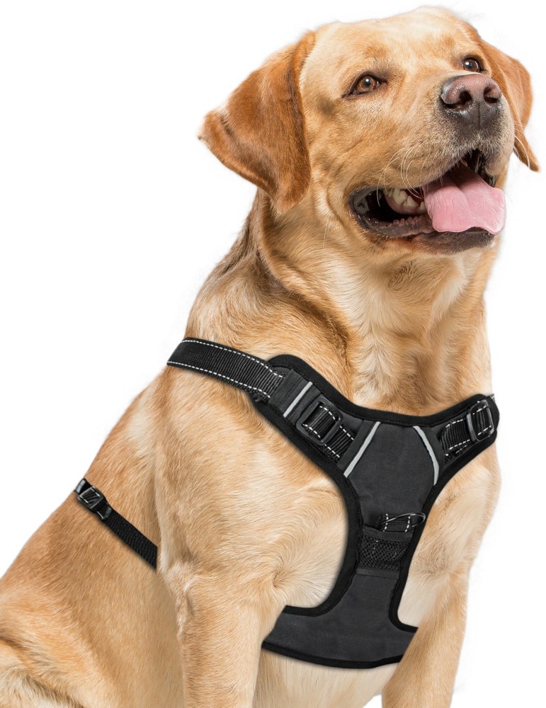 No choke no outlet pull dog harness