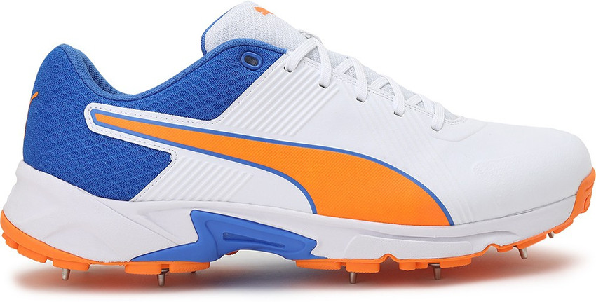 PUMA Spike 19.2 Cricket Shoes For Men