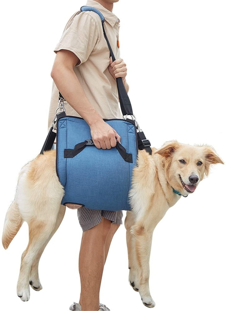 Big best sale dog bag