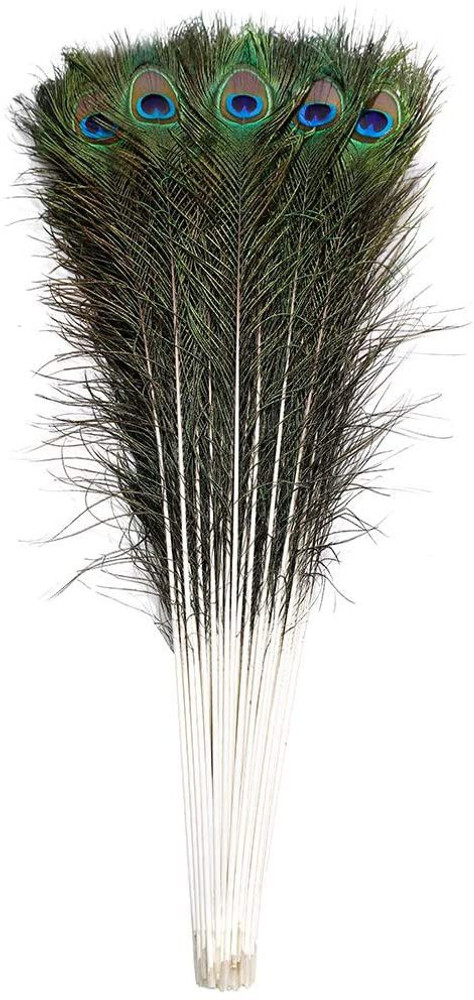 PRIME BHARAT Pack of 100 Decorative Feathers Price in India Buy