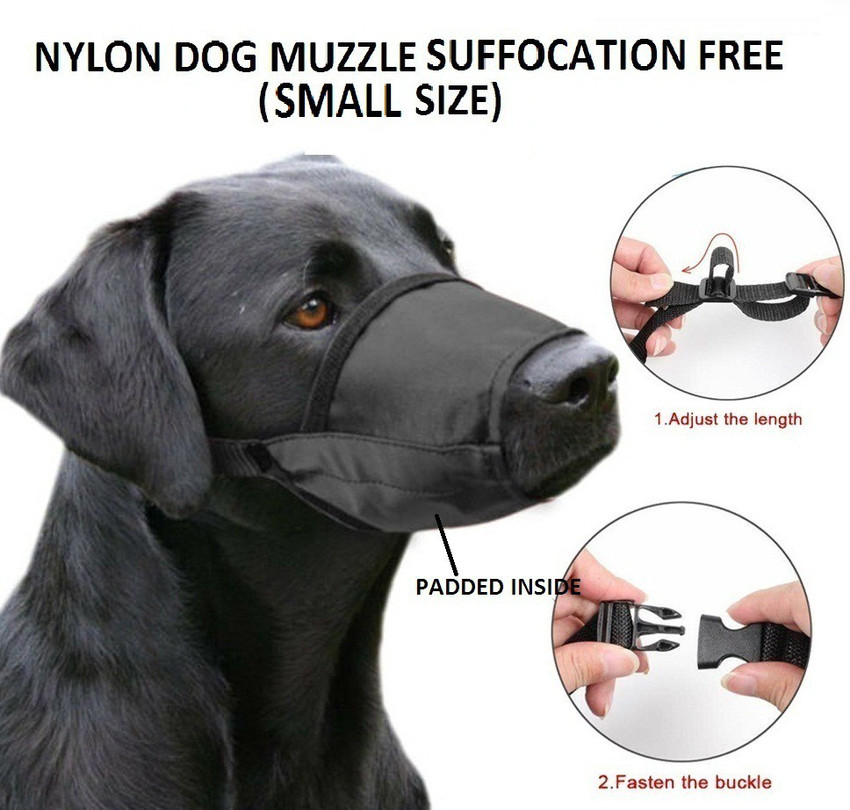 Hachiko Small Other Dog Muzzle Price in India Buy Hachiko Small