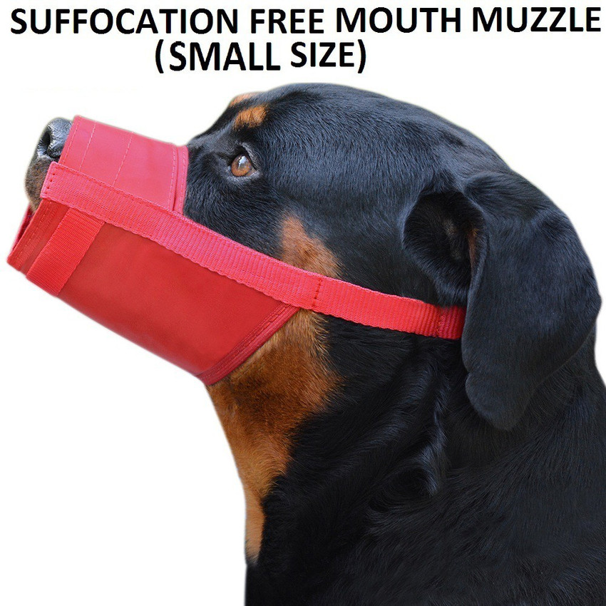 Padded dog muzzle online