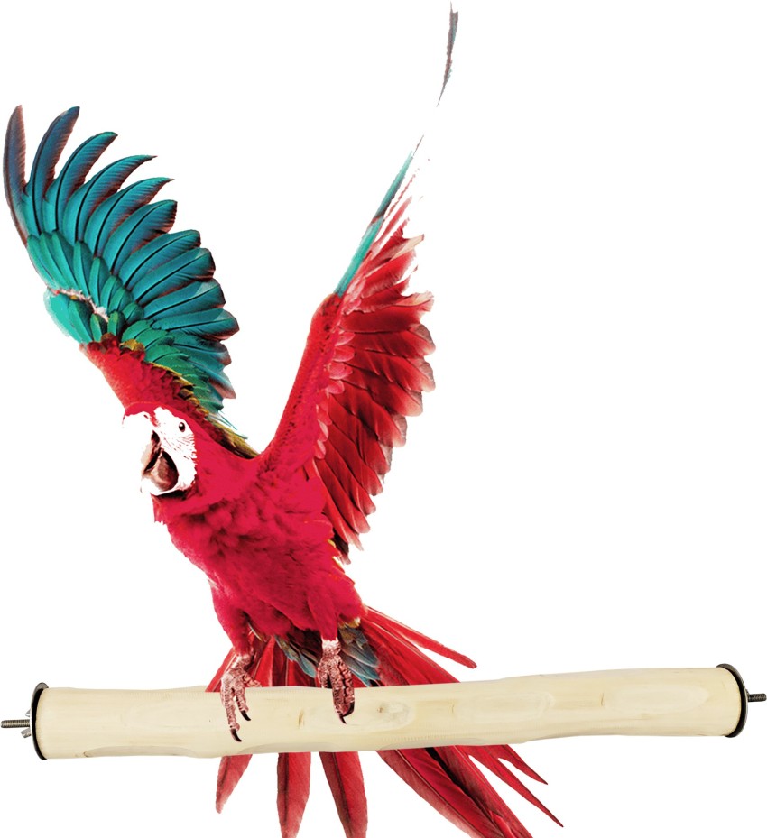CONGO NATURAL PARROT TREAT Wooden Perch For Bird Price in India - Buy CONGO NATURAL  PARROT TREAT Wooden Perch For Bird online at