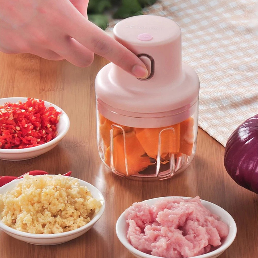 Electric chopper best sale price