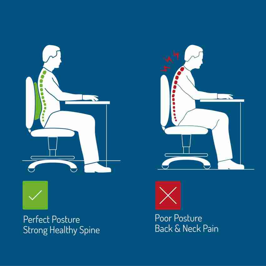 Sit plus online back support cushion
