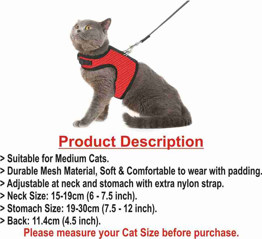 Cat harness canada hotsell