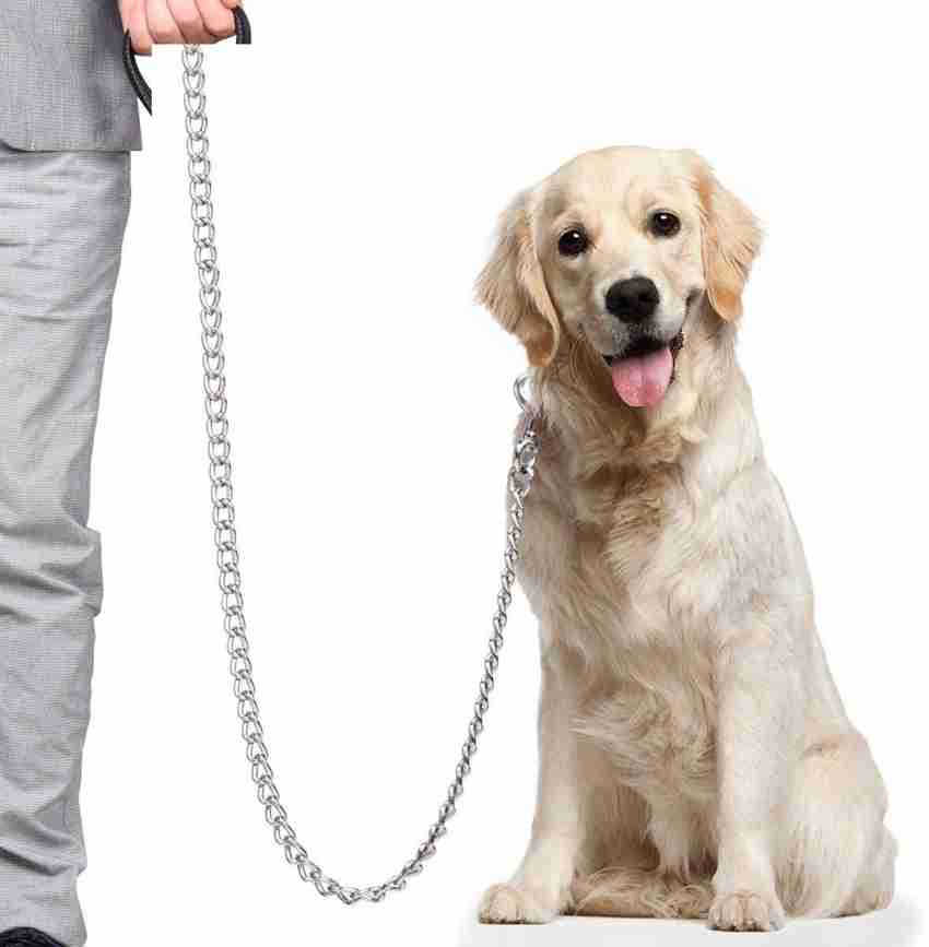 Heavy duty dog clearance chain collar