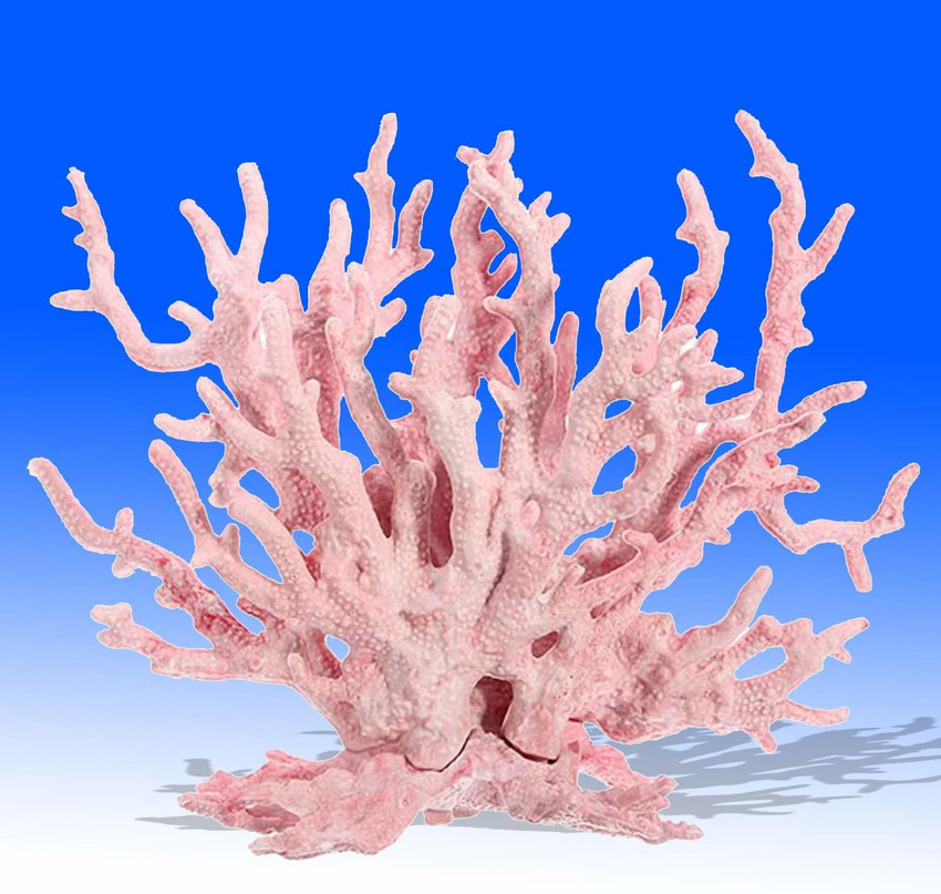 Aquarium accessories flipkart clearance
