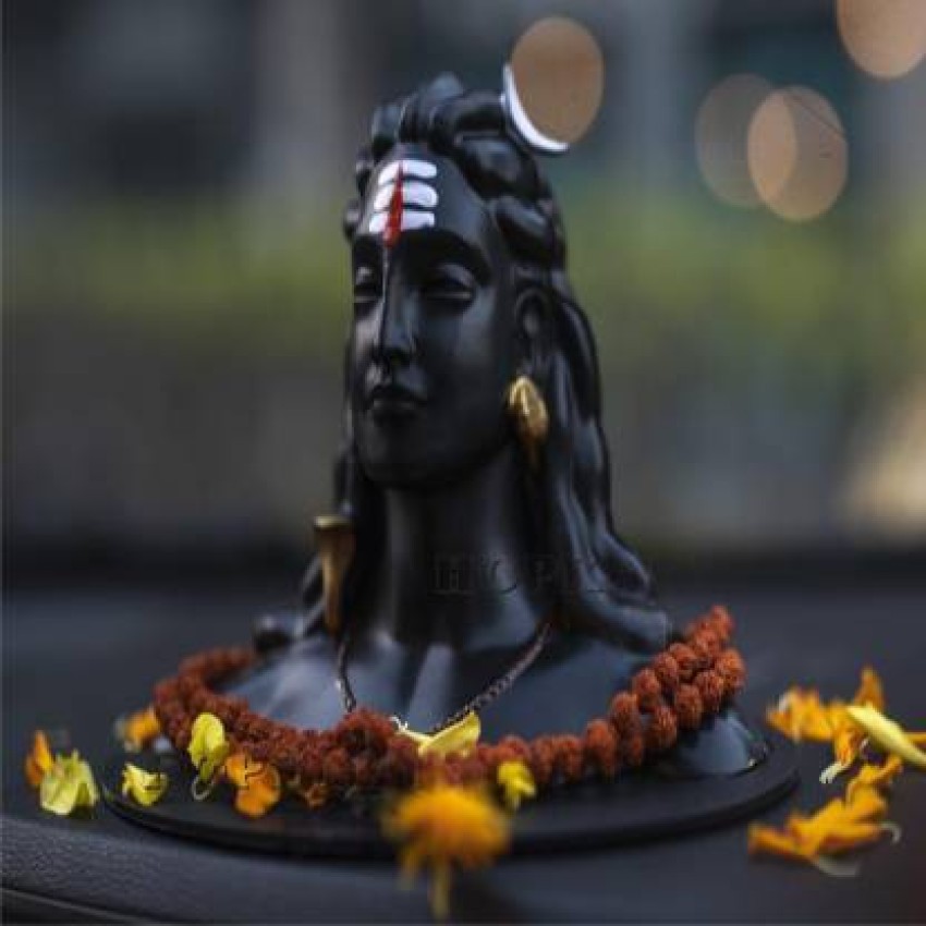 Braj Art Gallery Adiyogi Shiva Isha Yoga Center Coimbatore Photo Frame  (13.5X19.5 Inches, Black) : Amazon.in: Home & Kitchen