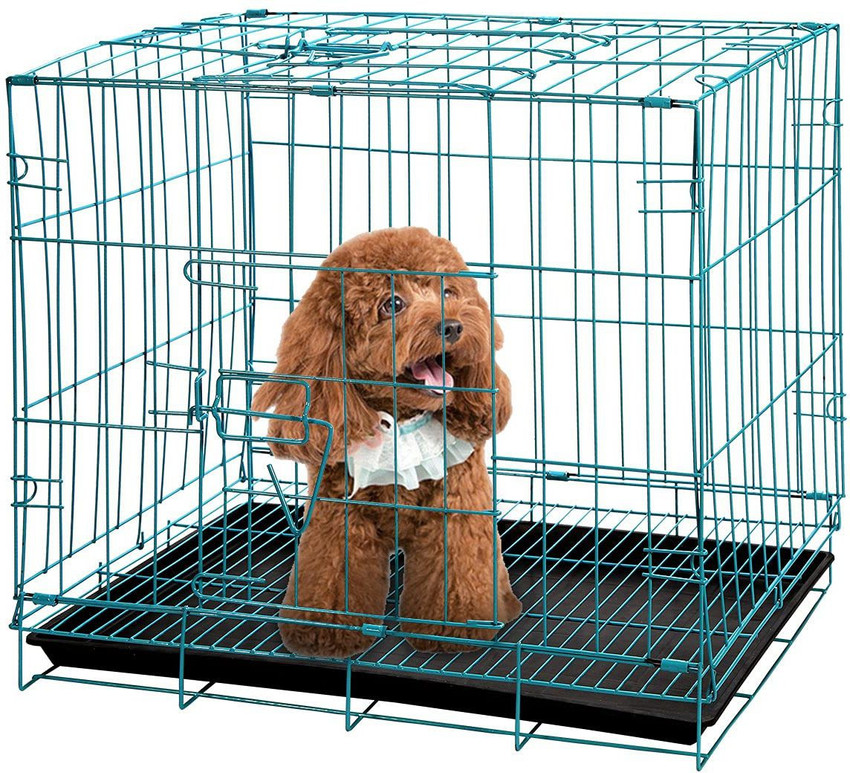 Single door folding outlet metal dog crate