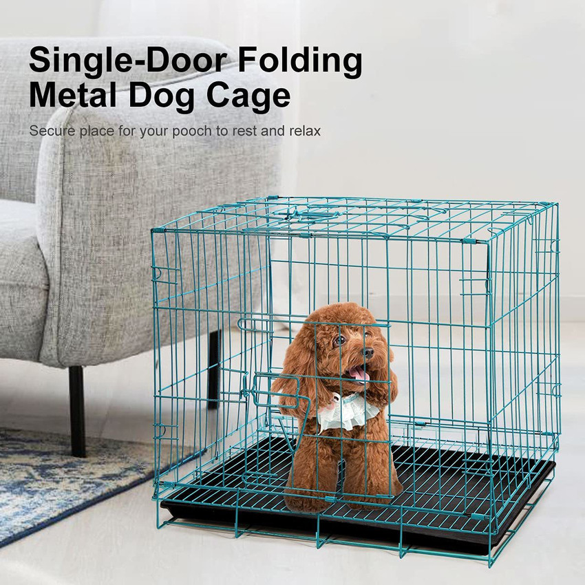 Single door folding sales metal dog crate
