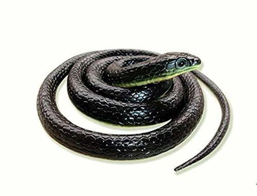 Toy rubber snakes deals