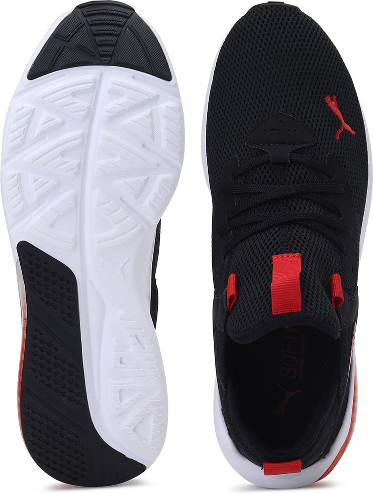 cell vive evo puma