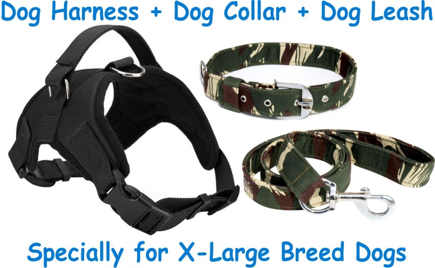 BODY BUILDING Dog Belt Combo of Black Dog Harness Dog Harness Leash Price in India Buy BODY BUILDING Dog Belt Combo of Black Dog Harness Dog Harness Leash online