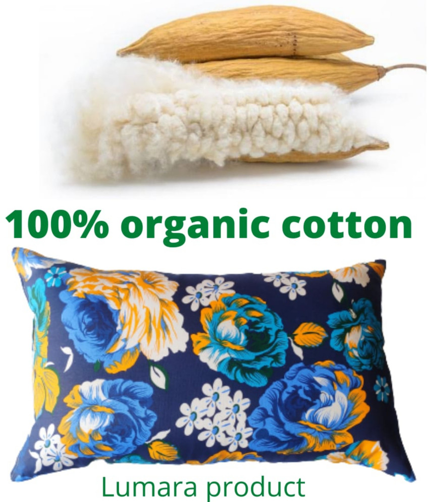 Silk cotton pillow price hot sale