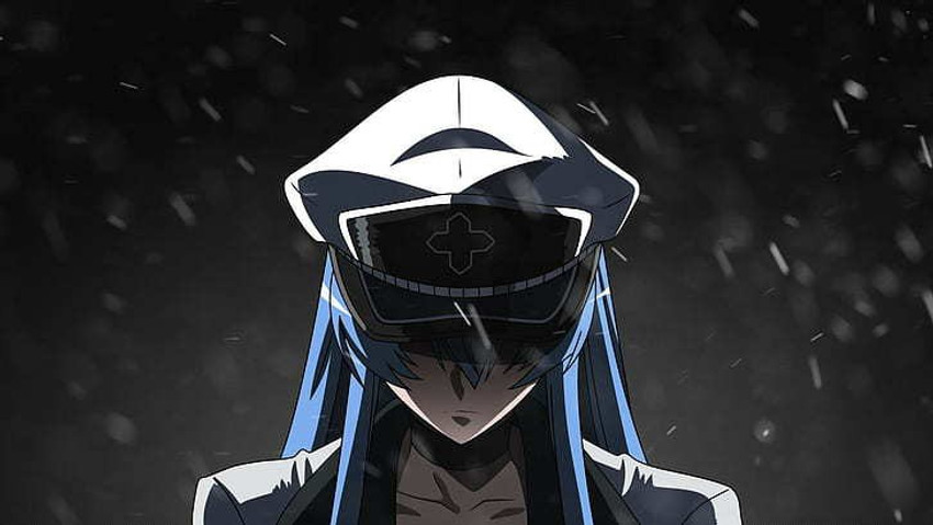 Akame Ga Kill!: Esdeath Paperized