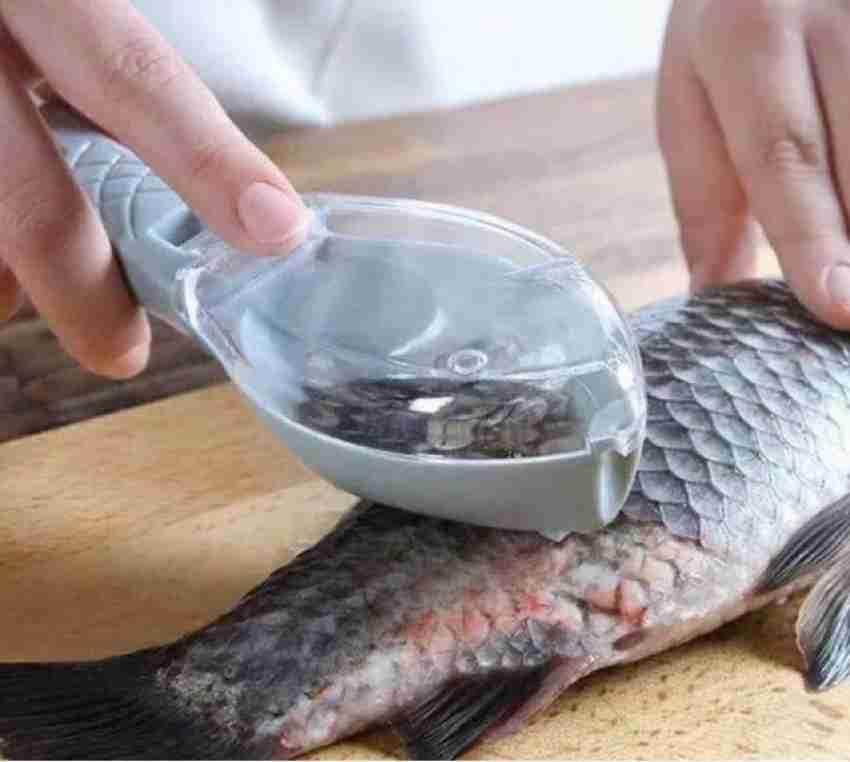 Oncarnival Fast Remove Fish Skin Scraping Brush Fishing Scale Brush Graters  Cleaning Peeler Fish Scaler Price in India - Buy Oncarnival Fast Remove  Fish Skin Scraping Brush Fishing Scale Brush Graters Cleaning