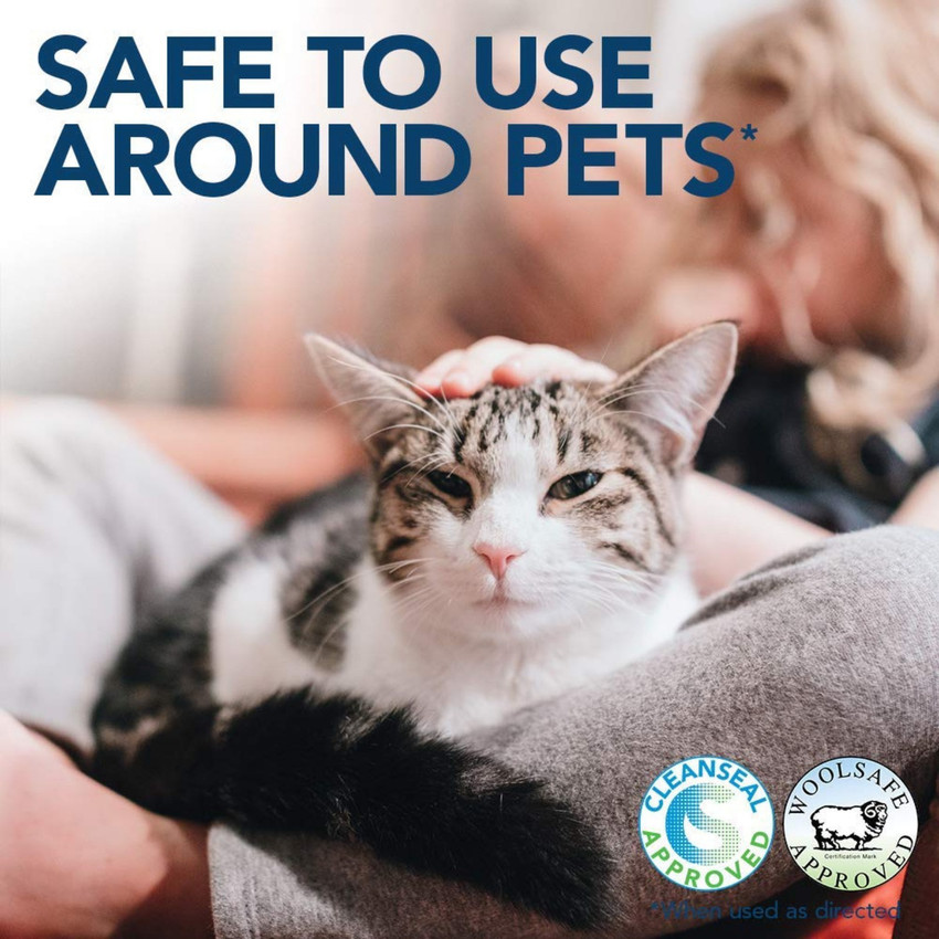Out cat stain clearance and odor remover