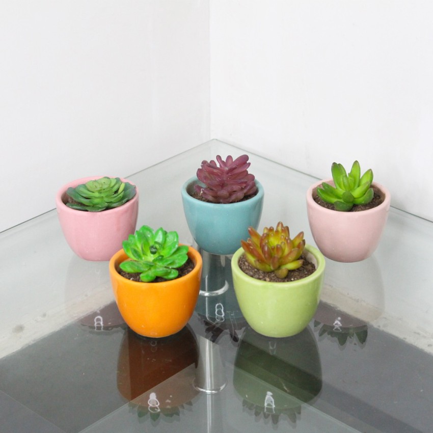 https://rukminim2.flixcart.com/image/850/1000/ks4yz680/plant-container-set/y/z/l/1-wng-setof5-ceramic-succulentpots-wonderland-original-imag5rn59rcj9kzy.jpeg?q=90