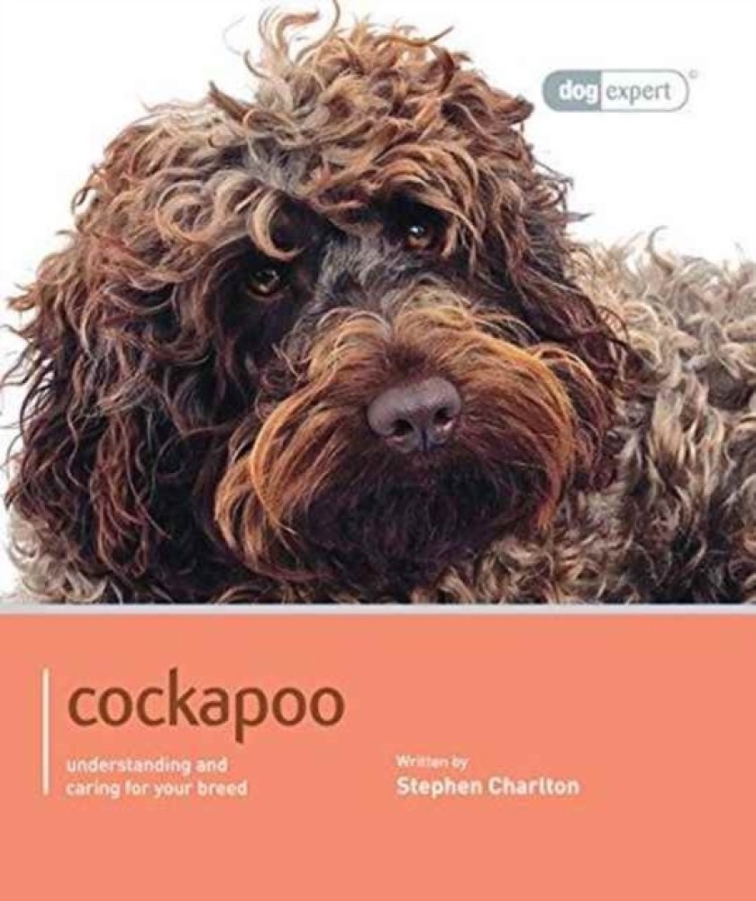 Buy cockapoo 2024