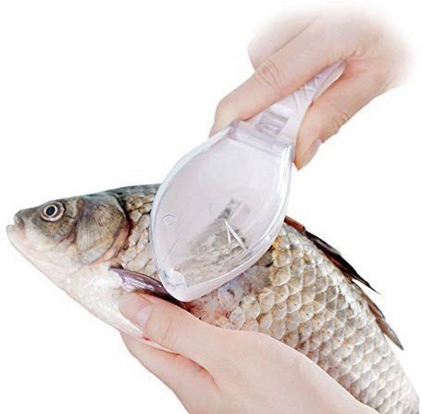 SWISS WONDER Fish Scaler Skin Brush Fish Scaler Price in India