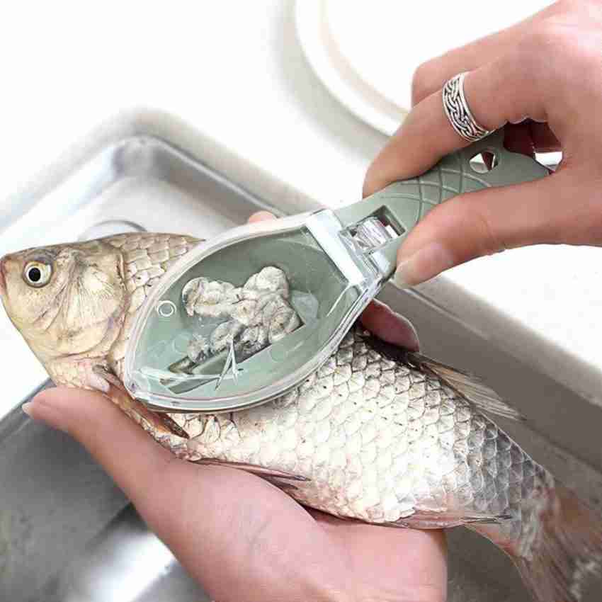 SWISS WONDER Fish Scale Scraper Fish Scaler Price in India - Buy