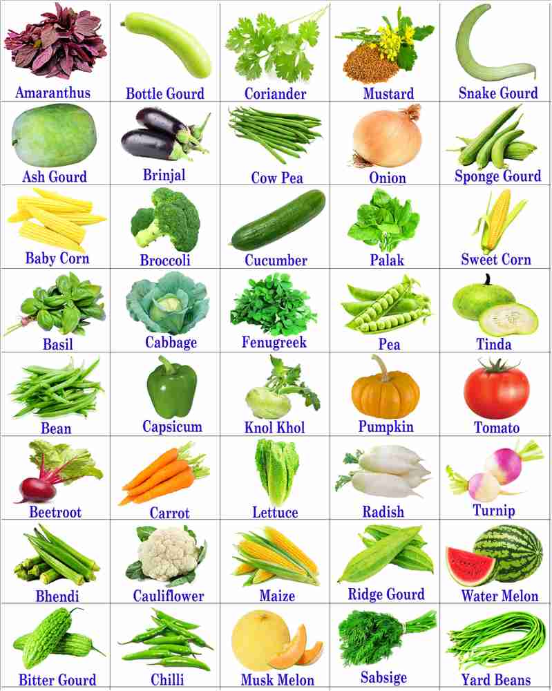 Veg seeds shop