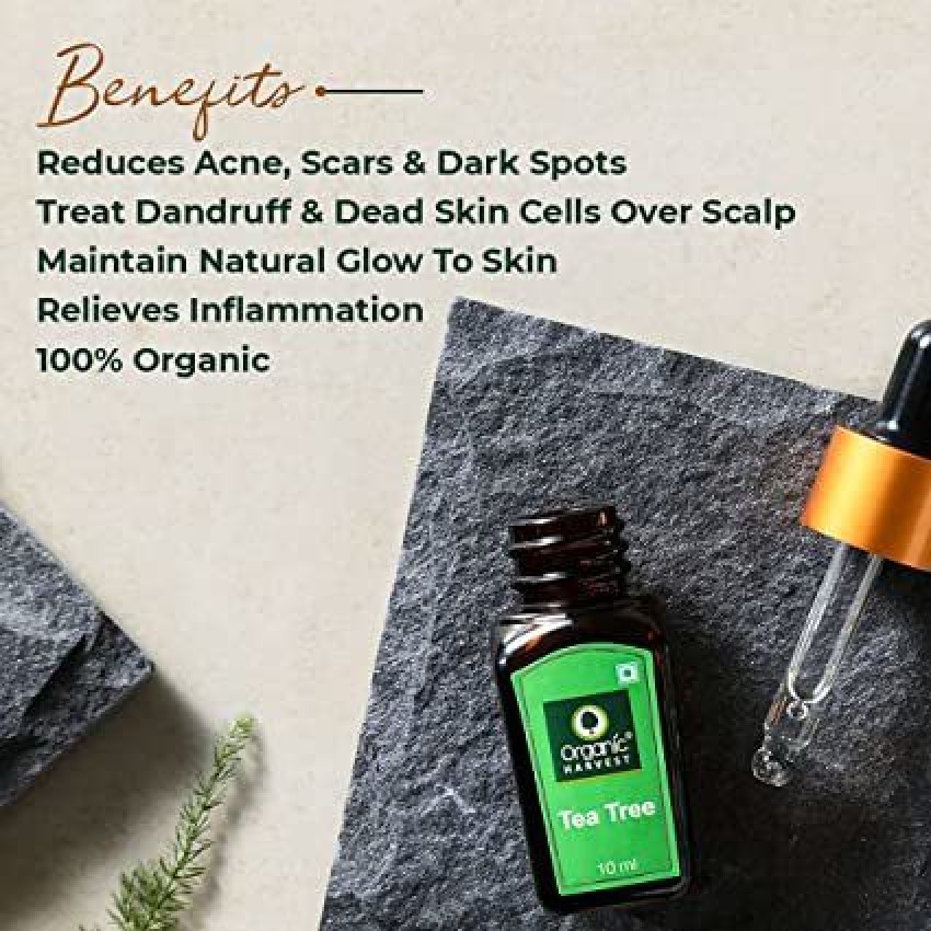 Buy Organic Rosemary Essential Oil for Hair & Skin Online in India (10ml) -  Organic Harvest