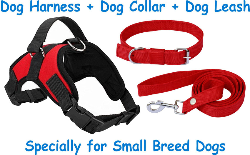 Small dog belt discount
