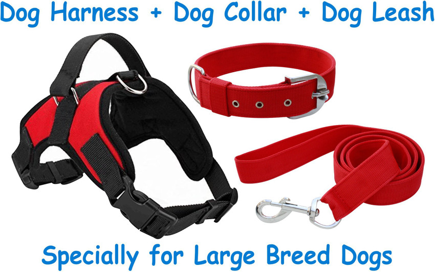 Collar harness combo best sale