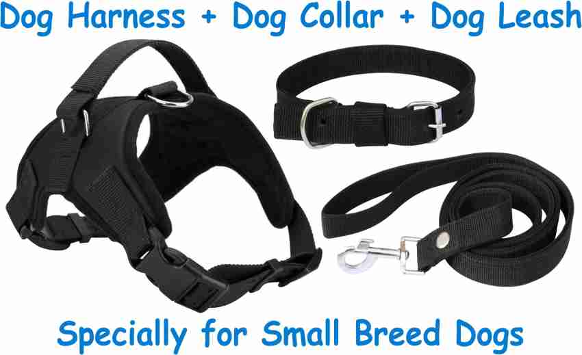 Small dog hot sale belt