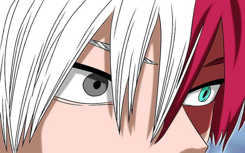 My Hero Academia Anime Hero Shoto Todoroki Matte Finish Poster P-12133  Paper Print - Animation & Cartoons posters in India - Buy art, film,  design, movie, music, nature and educational paintings/wallpapers at