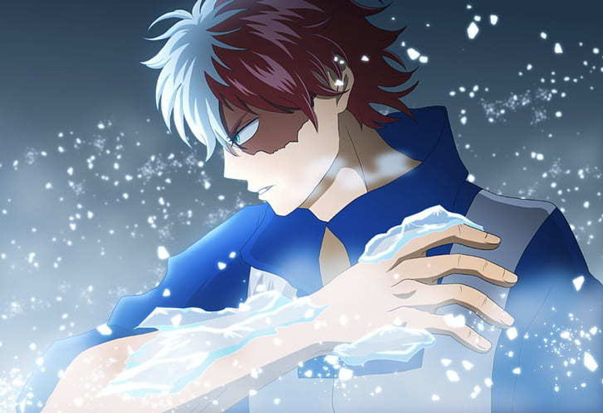 My Hero Academia Anime Hero Shoto Todoroki Matte Finish Poster P-12133  Paper Print - Animation & Cartoons posters in India - Buy art, film,  design, movie, music, nature and educational paintings/wallpapers at