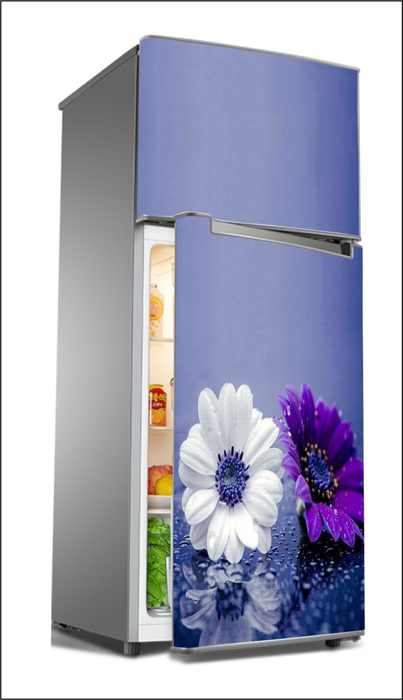Fridge ka colour hotsell