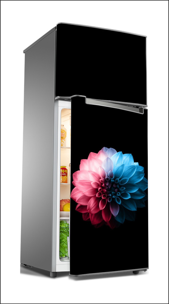 Studio glass outlet front fridge