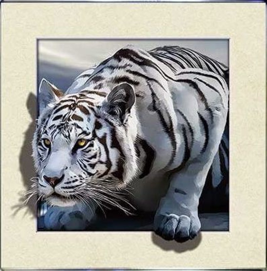Beautiful White Bengal Tiger Tiger Poster Animal Poster Wildlife