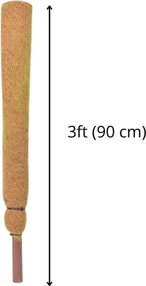 3ft in cm clearance